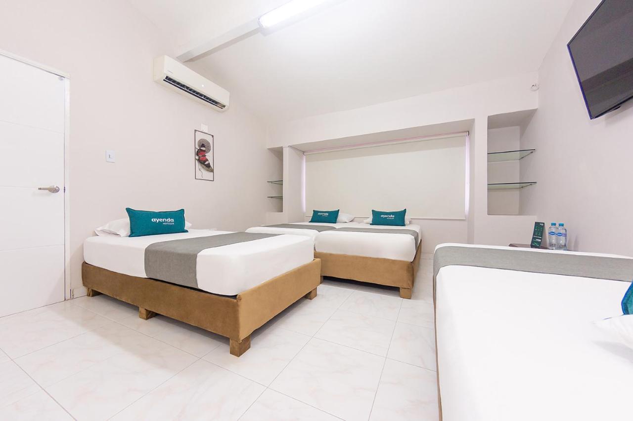 Ayenda Isla De Manga Hotel Cartagena Eksteriør billede